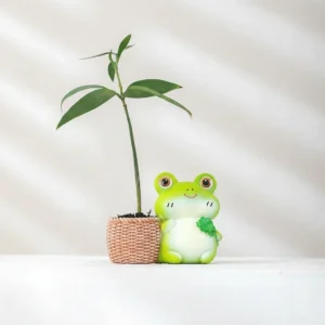 gruener frosch mini blumentopf mit vierblaettrigem kleeblatt, capybara deko set